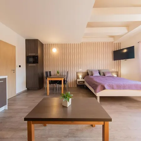 Apartment Sophia Velke Losiny