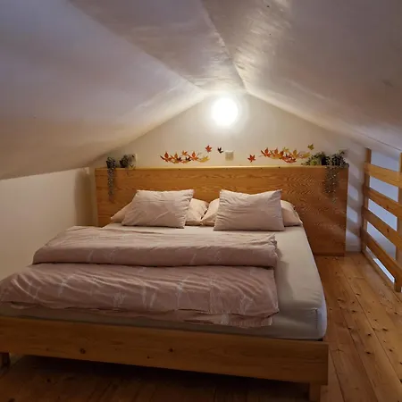 Apartman Sophia 6