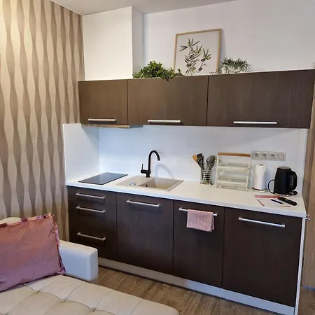 Apartmán Sophia 5 A 6 Velké Losiny